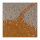 018 MPgravière3_GF