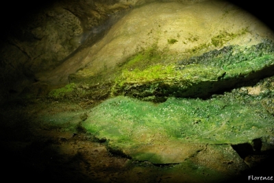 Sortie - La grotte aux fées