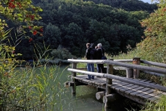 Libellules (31)