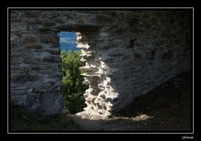 Libellules (41)