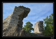 Libellules (42)