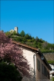 Stéphane (1)_GF