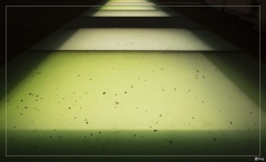 011 AV_GF