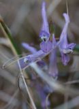 EE-IMG_1146