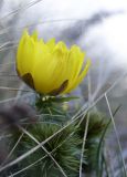 EE-IMG_1178