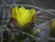 EE-IMG_1237