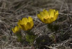 Johanna-1F4A6819-1