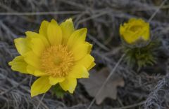 Johanna-1F4A6827-1