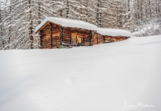 Josiane_Blatten-1