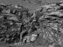 Sortie_Loèche