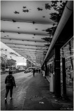 Laurent_larret-de-lautomne-debut-de-lhiver