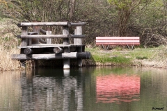 Bancs (12)_1