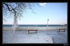 Bancs (13)_1