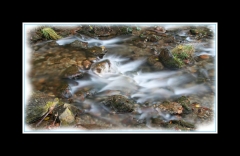Eau (20)_1