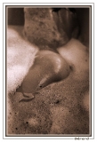 Eau (24)_1