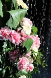 Eau (31)_1