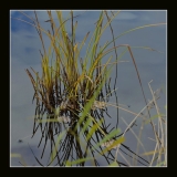 Eau (34)_1