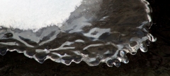 Eau (38)_1