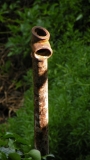 Eau (46)_1