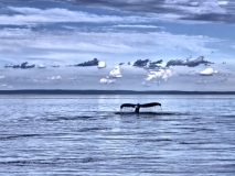 Eau (6)_1