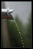 Eau (7)_1