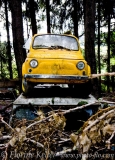 Jaune (16)_1