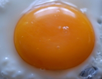 Jaune (33)_1