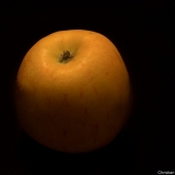 chrvoe01_GF_GF