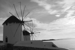 Image18