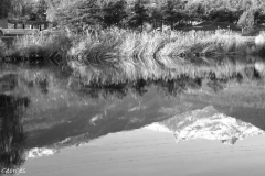 SONY DSC