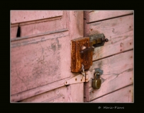 PF (29)_1