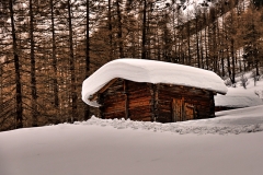 Chirs (1)