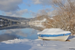 Freddy (3)