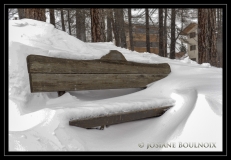 Josiane (2)