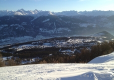 StefChes (1)