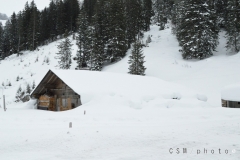 StefChes (3)