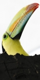 Tete (29)_1