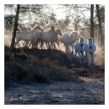 Josianne_pastel-3