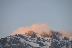 SC-Pastel-1