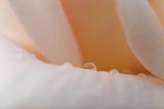 SC-Pastel-3
