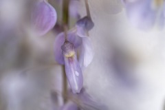 Verene_teintes-pastel-1