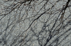 ClaudeSolioz_Textures-5