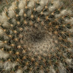 Thème textures
