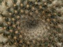 Thème textures