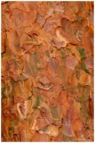 Laurent_textures-1