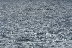 Marc_Texture-2