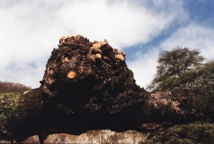 Pierre-Antoine_textures-1