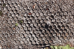 Roger_textures-3