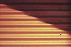 Roger_textures-7