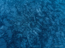 Tintin_textures-1